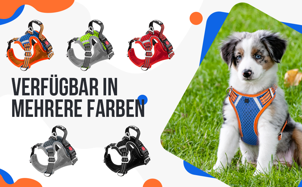 Шлейка для собак маленьких та середніх порід, Air Mesh дихаюча, з м'якою ручкою та замикаючими карабінами, вибухостійка, світловідбиваюча, червона, XS