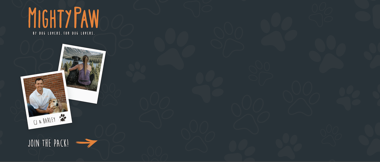 Сумка для ласощів Mighty Paw для собак: навчання та тренування | Зручна сумка для ласощів на руці для собак | Оранжево-чорна