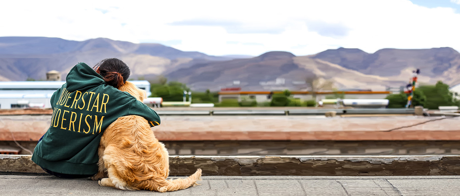 Автокрісло для собак та котів Fareyy, підняття для тварин, переноска з кишенькою та страхувальним ремінцем, водонепроникне, тепле, плюшеве, чорне