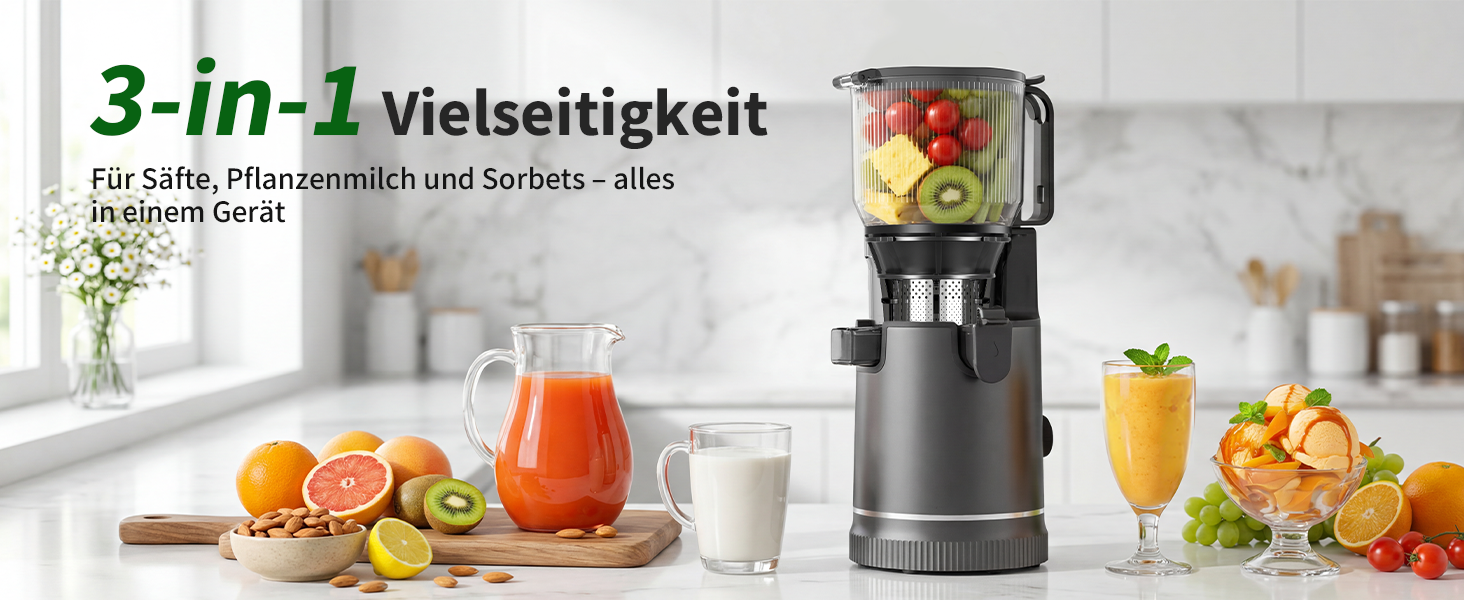 Шнекова соковижималка Entsafter Slow Juicer SJ-065, 400 Вт, XL-завантажувач 152 мм, Titanium Gray