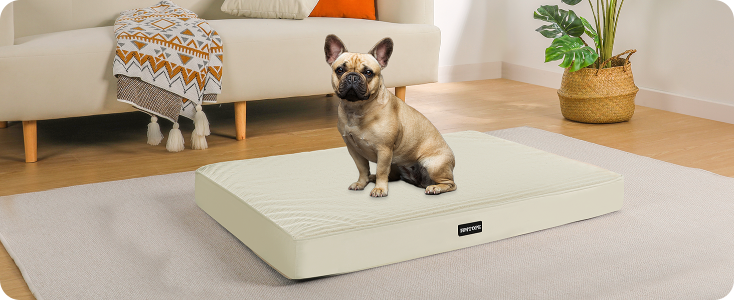 Ортопедичне ліжко для собак, 10 см товщина, для середніх та великих собак, знімний та пральний килимок, неслизьке дно, водонепроникне внутрішнє покриття, 112 см, оливковий колір (L 76 x B 51 x H 8 см, бежевий)