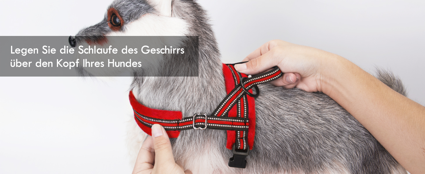 Шлейка для собак SlowTon з повідком, анти-тягнуча, регульована, світловідбиваюча, для цуценят, малих та середніх собак, безпечна, запобігає задушливості, зелена