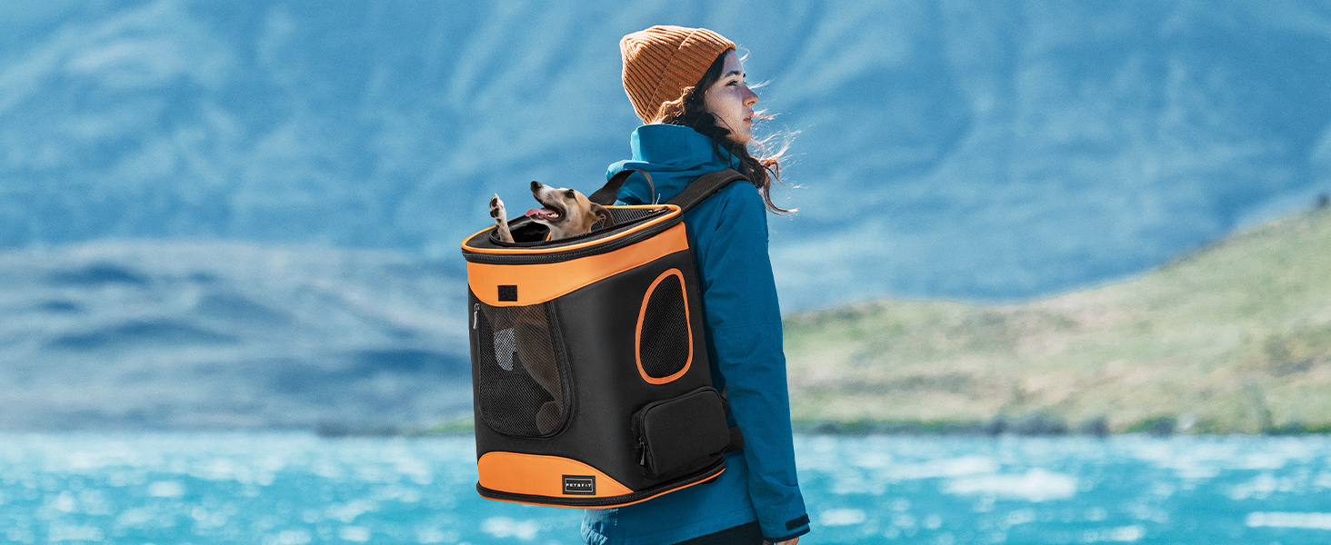 Рюкзак для кота та собаки Petsfit - зручний та дихаючий, до 5 кг, з сіткою та ременем, чорний та помаранчевий