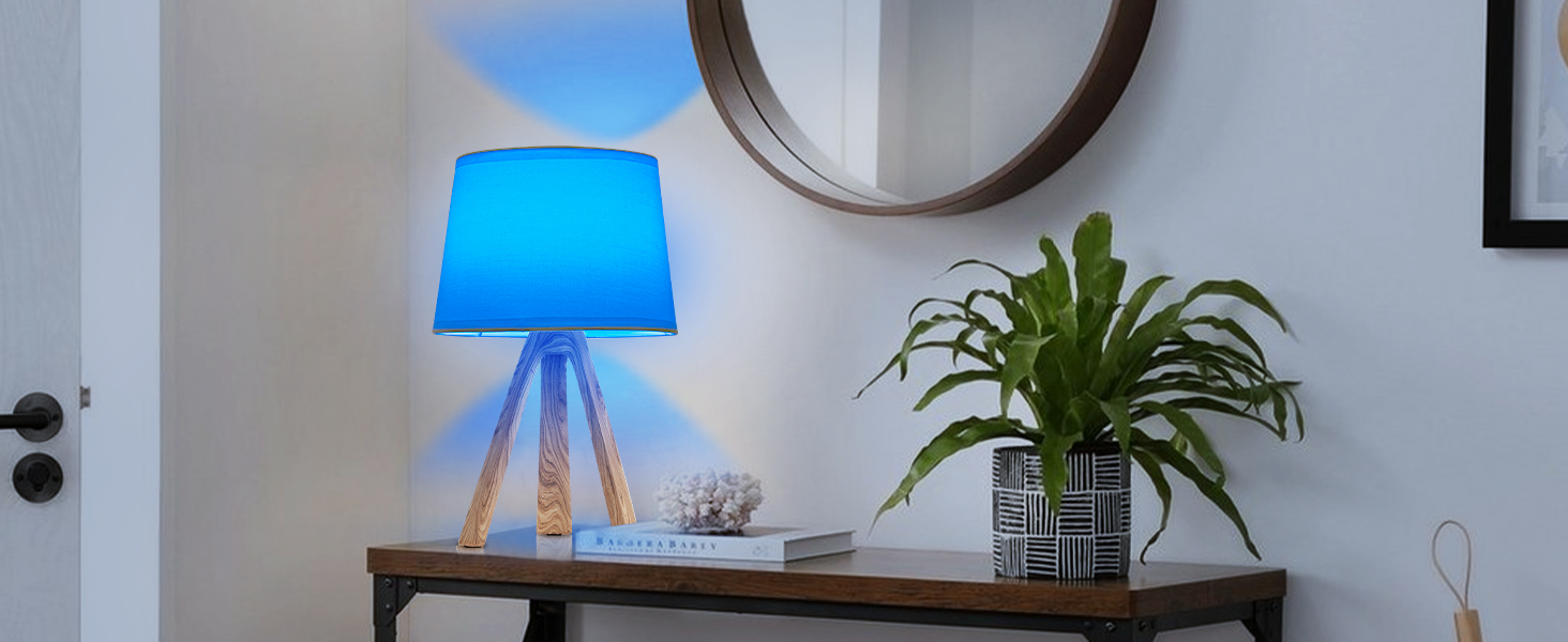 LED-лампа Egobasic настільна бездротова з пультом, таймером, регулюванням яскравості, акумулятором, змінним кольором, для спальні, кухні, вітальні (тринога з харчової смоли)