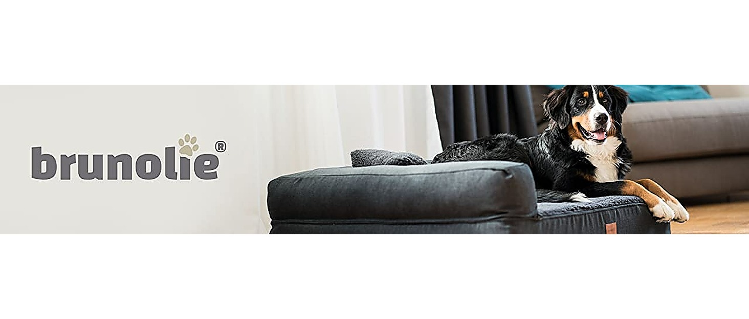 Ортопедичне собаче ліжко-софа Odin, миється, не слизьке, з піднятою спинкою, кошик для собак, розмір S/L 80x60 см, темно-коричневе