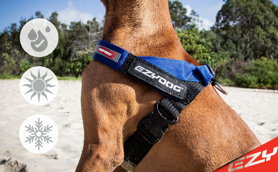 Шлейка для собак EzyDog Express - для норвезьких та інших порід, регульована, з підкладкою, для бігу та їзди на велосипеді (XS, S (52-66см), Червоний)