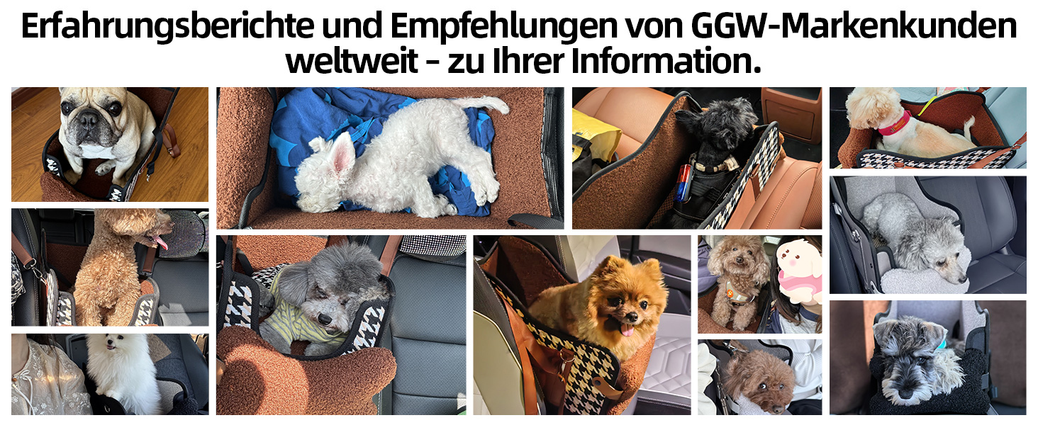 Автокрісло для собак та котів GGW | Безпечне автокрісло з подвійним кріпленням, водонепроникне, з кишенями, для малих собак та котів | Чорна шкіра