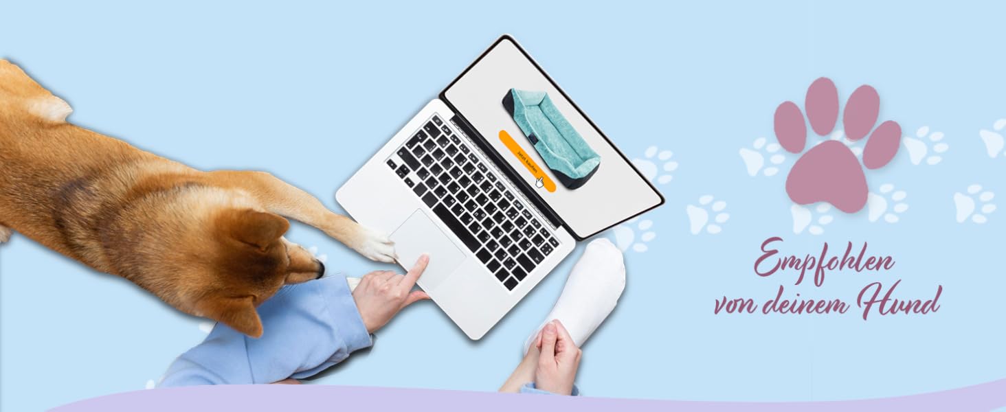 Крісло-ліжко для собак - м'яке ліжко-кошик з високим бортиком, 40x50 см, бежеве