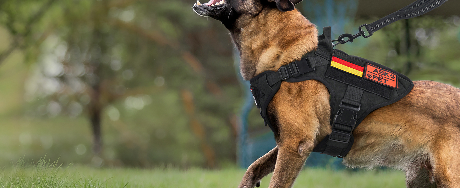 Шлейка для собак Rabbitgoo для великих собак без натягу, тактична нагрудна шлейка з MOLLE, металеві пряжки, дихаюча, військова, чорна, розмір L (1 шт.)