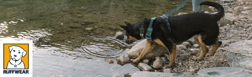 Нашийник для собак RUFFWEAR Front Range, міцний матеріал Tubelok, карабін з алюмінію, зручна застібка, яскравий колір Campfire Orange, розмір L (51-66 см)