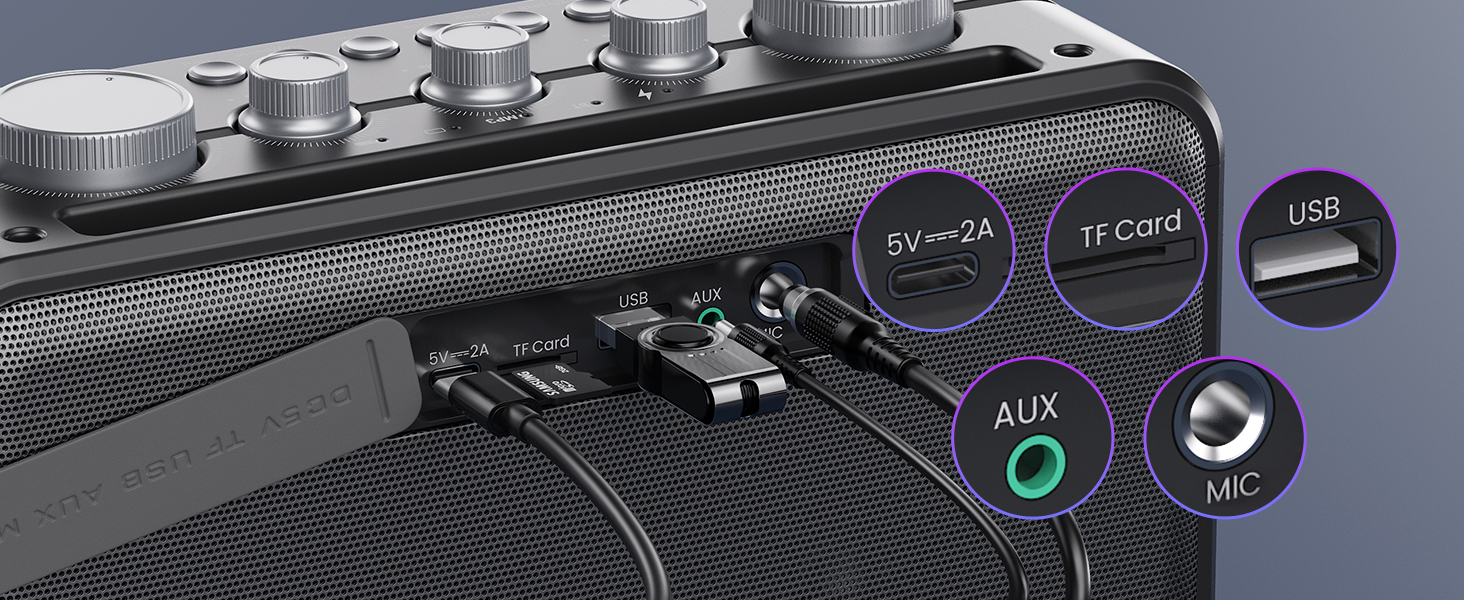 Караоке-система HWWR MS81 з 2 мікрофонами Bluetooth 5.3, підтримка USB/TF-карти/AUX, функція запису, для дому та вечірок, чорний колір