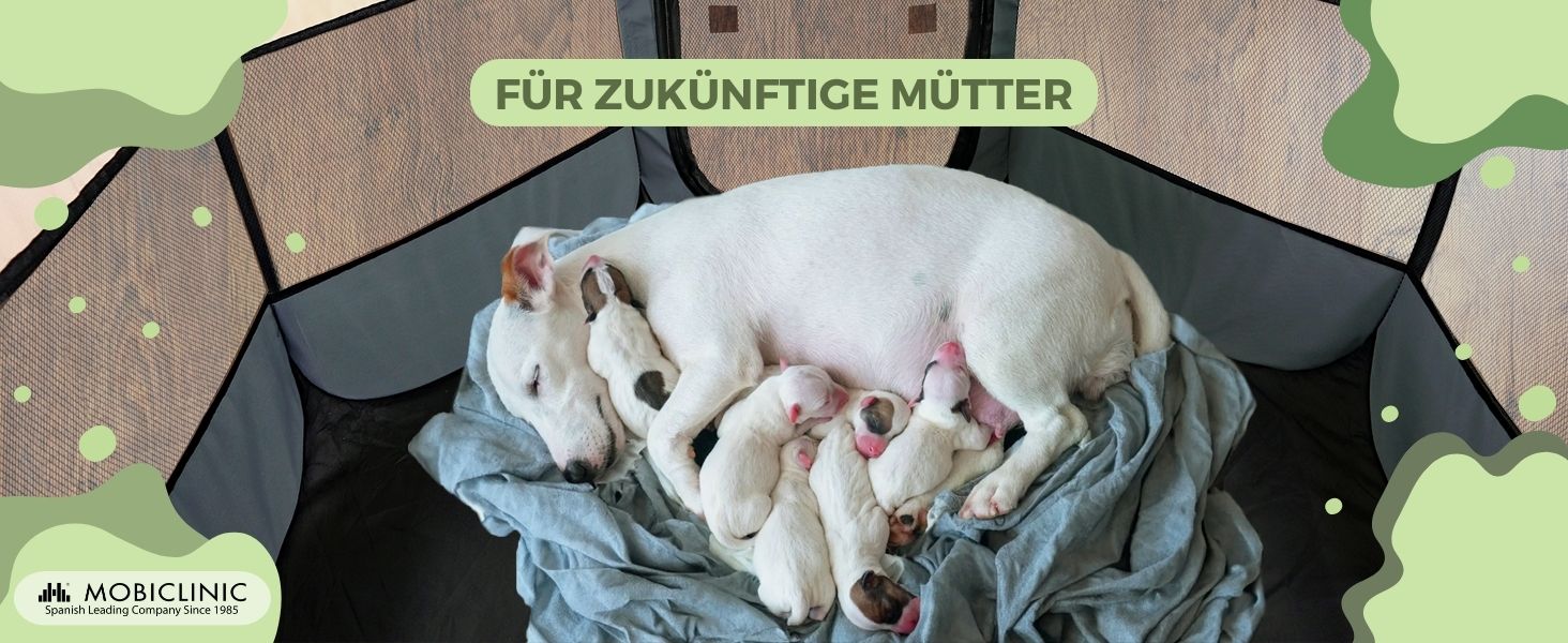 Mobiclinic® Pets: Вольєр для цуценят, розкладний, 114x114x58 см, Scooby, 2 входи, 8 вікон, сірий