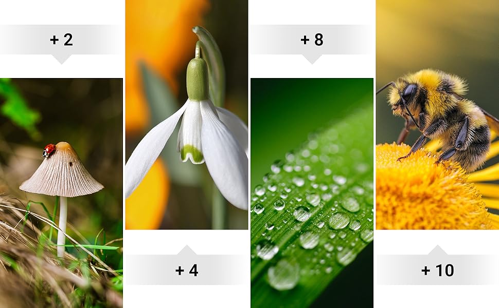 Набір макрофільтрів JJC 58 мм (+2, +4, +8, +10) для Canon EOS 90D 80D 5DII 5DIII 60D 70D та інші камери з об'єктивом 58 мм + чохол для фільтрів