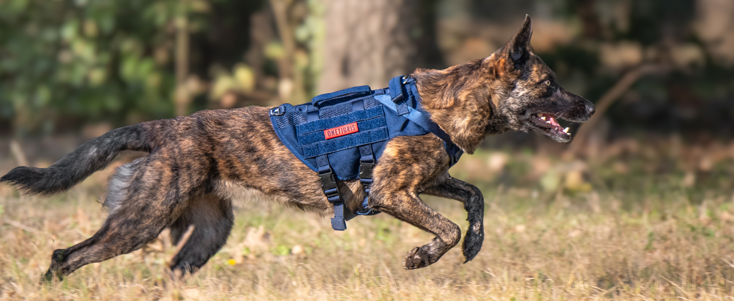 Шлейка для собак OneTigris AIRE MESH, великі породи, тактична, анти-тяга, з 2 ручками, регульована, дихаюча, зелена L (Обіх: 45-63см, Груди: 68-91см)