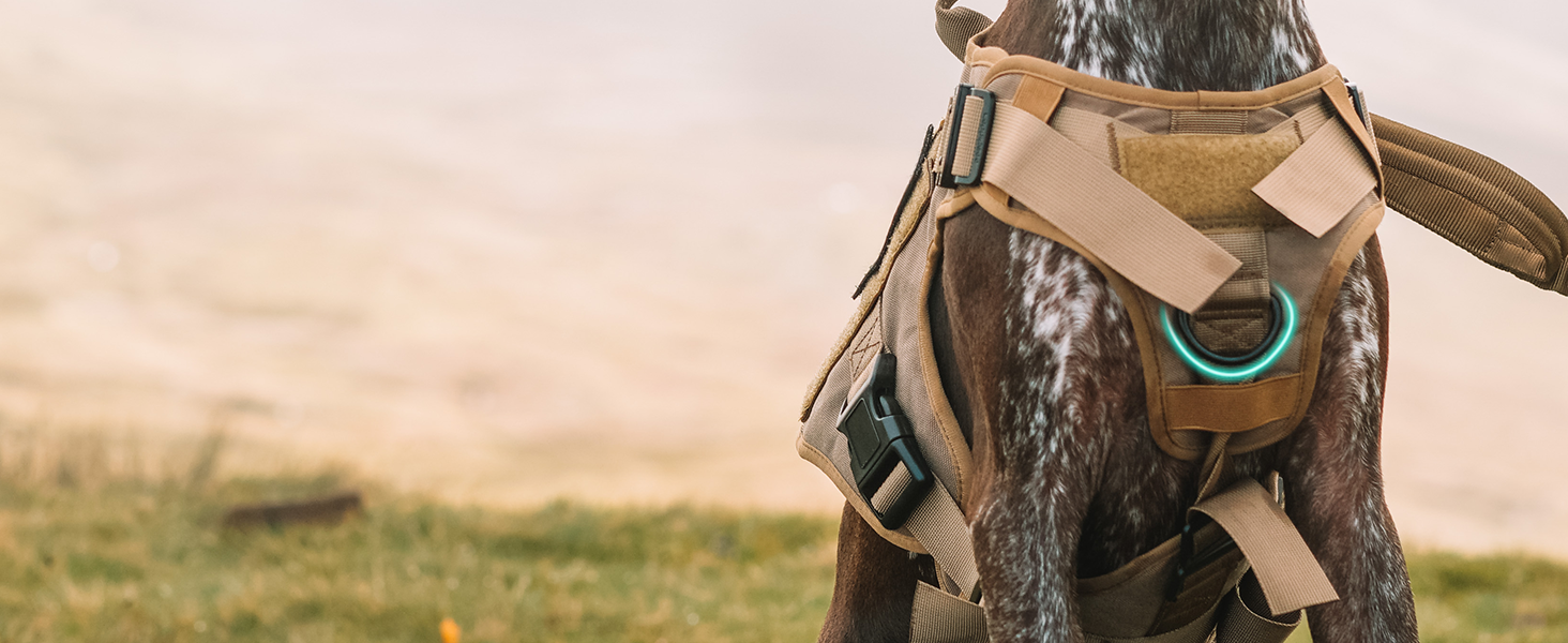 Шлейка для собак Rabbitgoo для великих собак без натягу, тактична нагрудна шлейка з MOLLE, металеві пряжки, дихаюча, військова, регульована, з підкладкою, L (1 шт., коричнева)