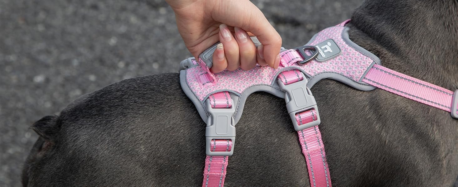 Шлейка для собак Huntboo, безпечна та витривала, з світловідбиваючими елементами та м'якою ручкою, регульована жилетка для маленьких собак, для прогулянок та тренувань (Рожева, S)