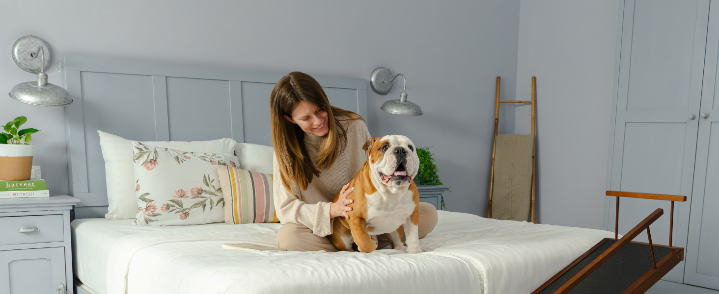 Сходинки для собак PRIORPET з натурального березового дерева з поручнями - регульована висота до 94.5 см - складаються - антиковзні ручки - для собак до 23 кг - колір Walnut