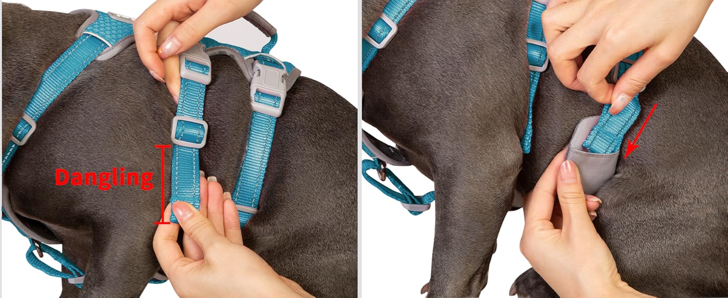 Шлейка безпеки для собак Huntboo, антизламна, зі світловідбиваючими елементами та м'якою ручкою, регульована жилетка для маленьких собак, для прогулянок та тренувань (S, Синій, X-Small, упаковка з 1)