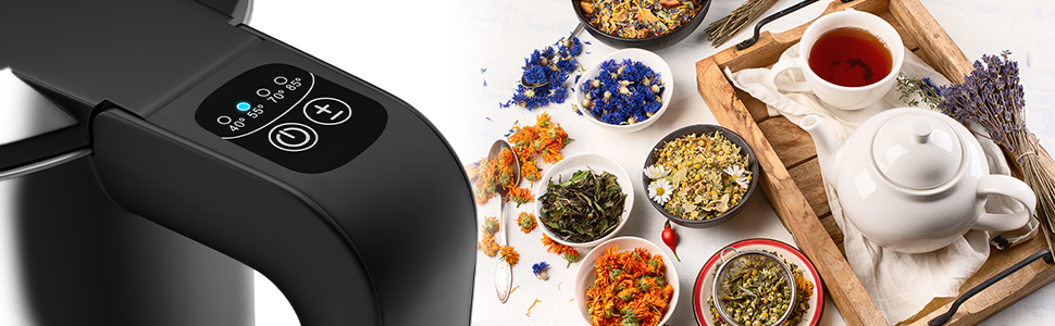 Balter Stainless Steel Electric Kettle with Temperature Control - 40°C to 100°C, Double Wall, BPA Free, 1.7L, 2200W, Quiet, Black
