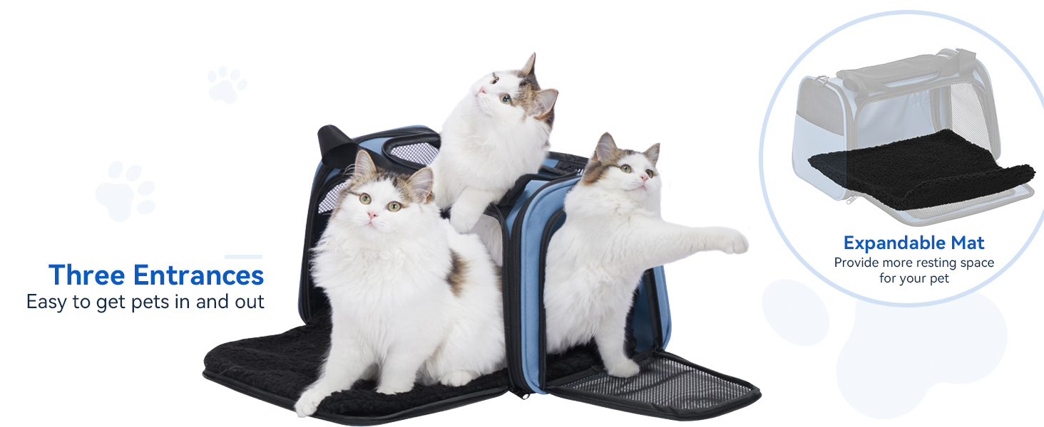 Транспортна переноска для котів та маленьких собак Petfit - легка переноска для подорожей літаком, з ременем безпеки та розширюваним килимком, блакитна (L)