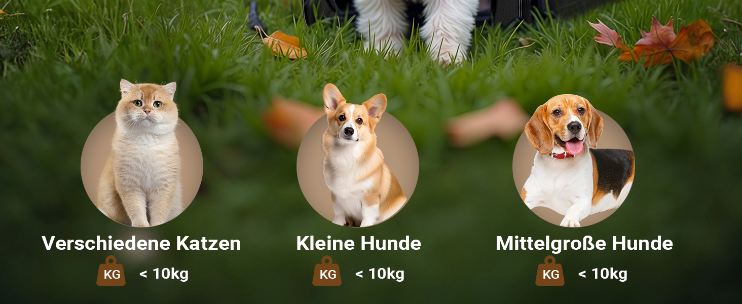 Транспортна переноска для собак та котів Wiltec, чорна, 58x46x53 см, складна, з подушкою