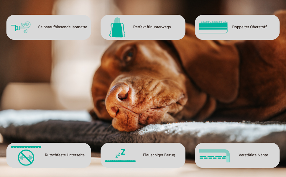 Килимок для собак у подорож: самонадувний килимок, м'який водовідштовхувальний чохол, сумка для перенесення, можна прати в пральній машині, знімний чохол, 100x70x3,5 см, 1080 г, сірий/блакитний