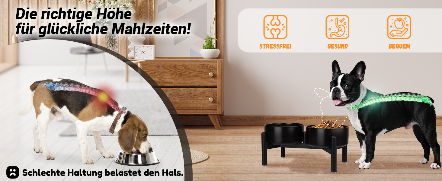 Elevated Dog Bowls Set - Ceramic Double Food Bowls with Stainless Steel Stand - Ideal for Small & Medium Dogs - 850ml x 2 - Black & Grey