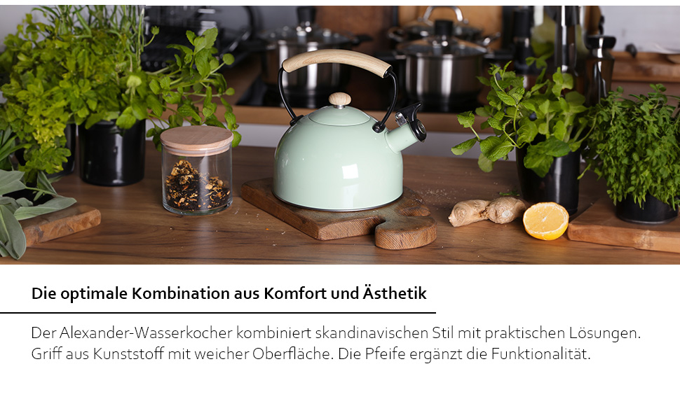 Чайник електричний зі свистком з нержавіючої сталі Molly, 1.7л, зелений (газова плита, індукція, плита)