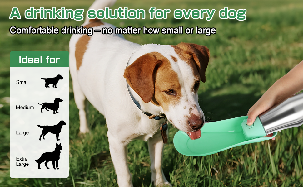 Водяна пляшка для собак на прогулянці: витривала, з нержавіючої сталі, 750 мл, з подвійними стінками, вакуумна ізоляція, не протікає