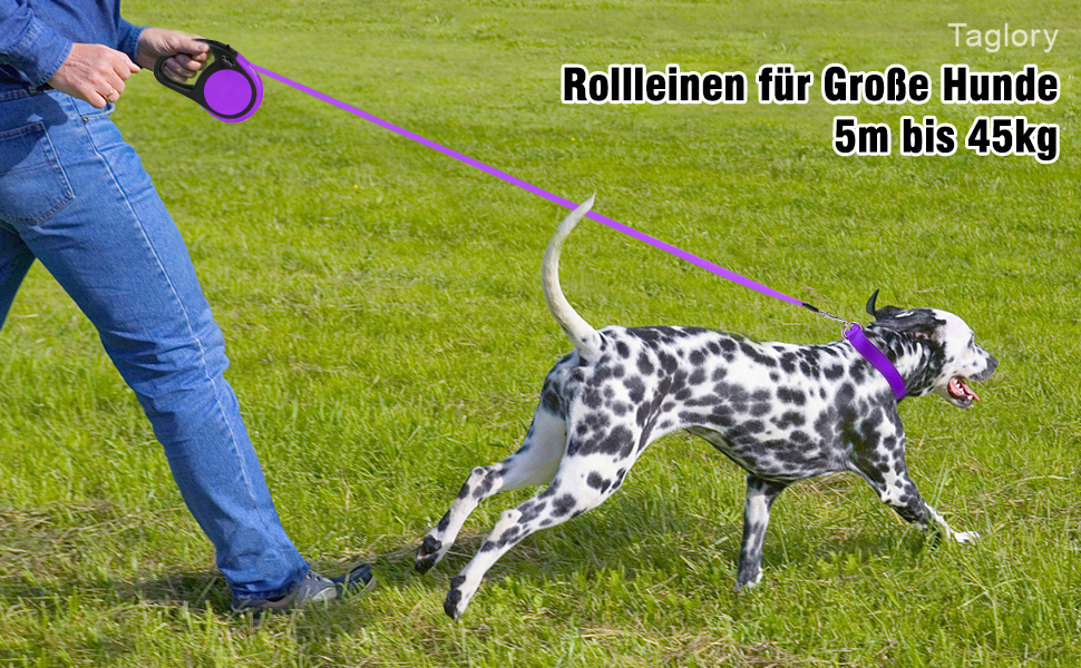 Висувна поводок для собак Taglory, 5м, для середніх та великих собак до 45кг, з надійною системою гальмування та антиковзним руків'ям (фіолетовий)