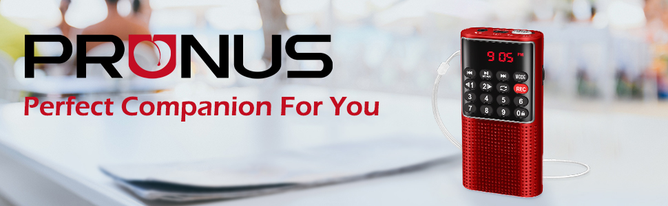 Портативне радіо Prunus J-328 з функцією запису, MP3/TF/AUX, рожеве