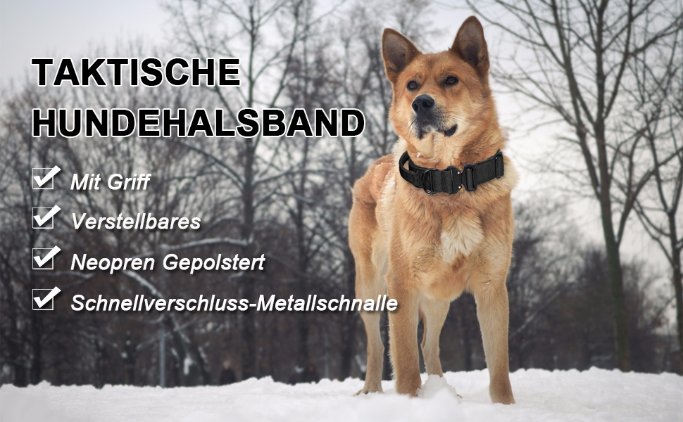 Тактичне нашийник для собак з ручкою, XL, зелений. Міцний, регульований, з металевою застібкою та неопреновою підкладкою