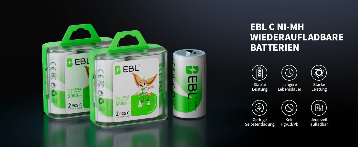 Зарядний пристрій EBL для акумуляторів AA AAA C D NI-MH, Type-C, LCD дисплей, швидка зарядка (зарядний пристрій + 4 x C)