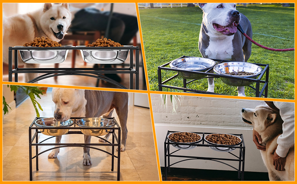 Підставка для мисок для собак маленьких, середніх та великих порід з 2 нержавіючих мисок, стабільна станція для годування, неслизька підставка для мисок для води та корму, годівниця для собак (S)