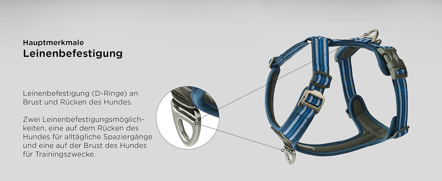 Нашийник для собак DOG Copenhagen Comfort Walk Air 3.0, Wild Rose, S