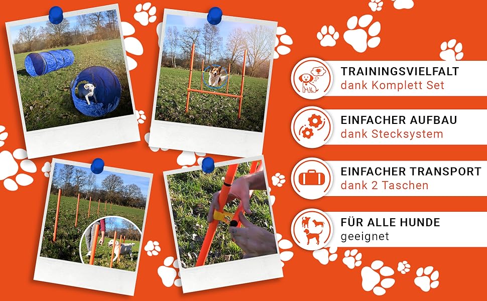 Набір для аджиліті для собак [11-TLG.] - універсальний набір з перешкодами, тунелем, слаломом та іншим для тренування та аджиліті собак - з аксесуарами та сумкою для транспортування, великий розмір