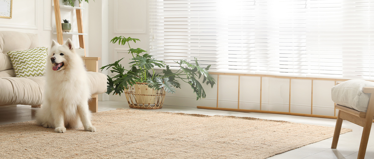 Захисне ворота PawHut для дверей та сходів: безпечне собаче ворота з автоматичним закриттям та подвійним замком, 93x76,2 см, чорний