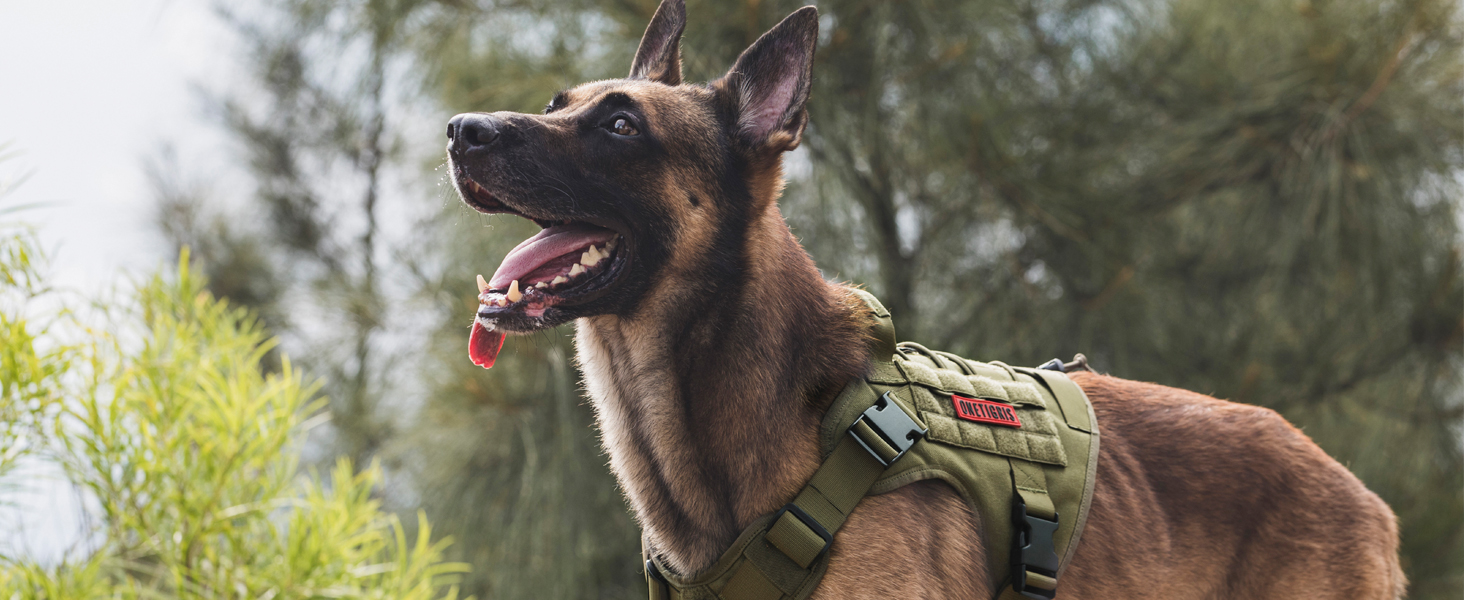 Тактичний нашийник для собак OneTigris FIRE Watcher, 1000D нейлон, чорний (M)