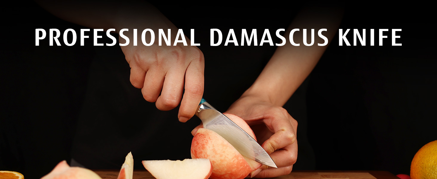 Японський кухонний ніж Hecef Damast з ручкою з харчової смоли, 20 см, 67 шарів дамаської сталі, з захистом для ножа, професійний ніж для кухаря, подарунок шеф-кухарю