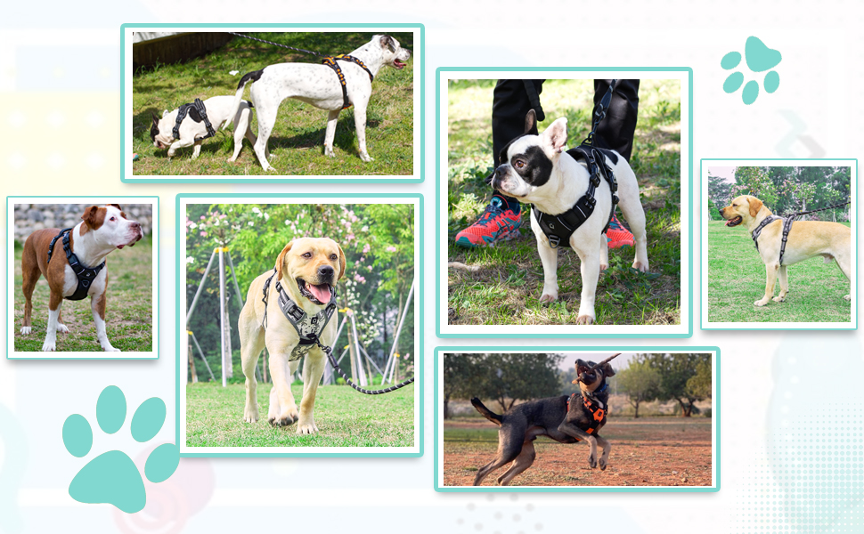 Нашийник для собак No-Pull, для малих та середніх порід - м'який, дихаючий, регульований, світловідбиваючий, анти-тяга з м'яким ручним захопленням, світло-зелений