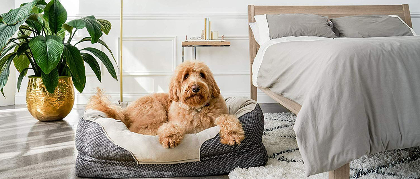 Водонепроникний килимок для собак TAIKURA, антиковзаючий килимок для тварин, міцний килимок для котів, багаторазовий. Захист для дивану, ліжка, автокрісла. Можна прати в пральній машині (темно-сірий, 76 x 190 см)