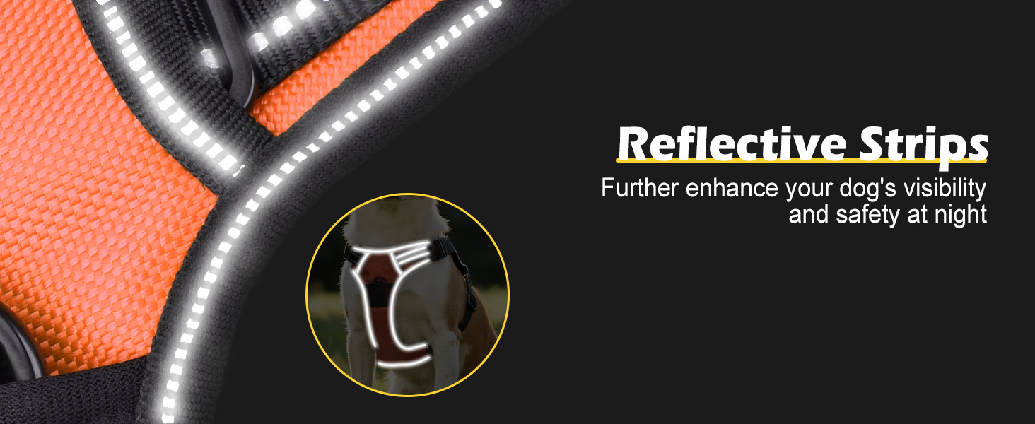 Світловідбиваючий нашийник для собак Joytale з підзарядкою, без натягування, з ручкою, для нічних прогулянок, чорно-синій, M (XL, 1 шт.), помаранчевий