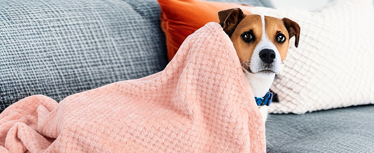 М'яка двостороння ковдра для собак та котів SLSON, 70x100 см (світло-жовтий та чорно-сірий)