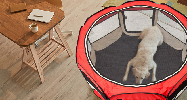 All Pets United Playpen - Large Pet Enclosure for Dogs, Cats, Rabbits & Small Animals - Indoor/Outdoor Use (Black & Beige)