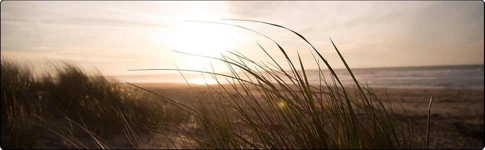 Турбовентилятор ProfiCare® з поворотом | Тихий вентилятор | 3 швидкості | з пультом дистанційного керування | підлоговий вентилятор 105см | дуже тихий | PC TVL 3068 (Modern)