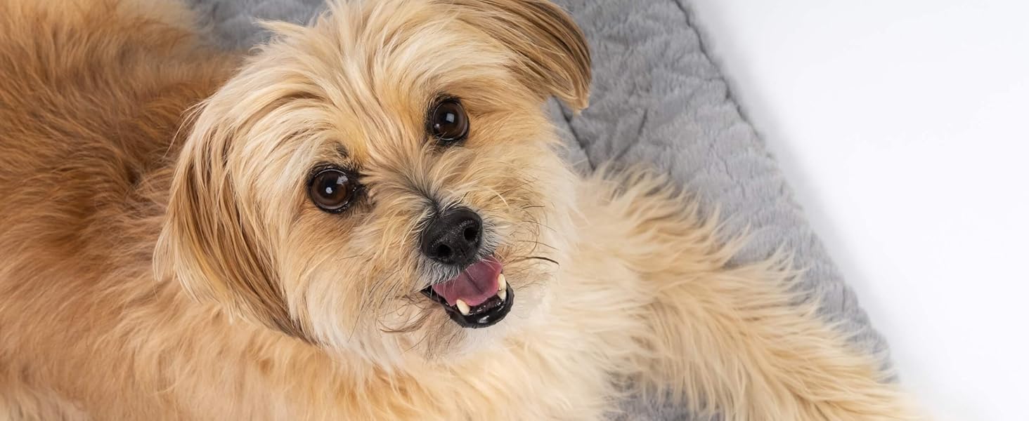 TrendPet Лежанка для собак і котів, двостороння, з підкладкою, сіра (50x35 см)