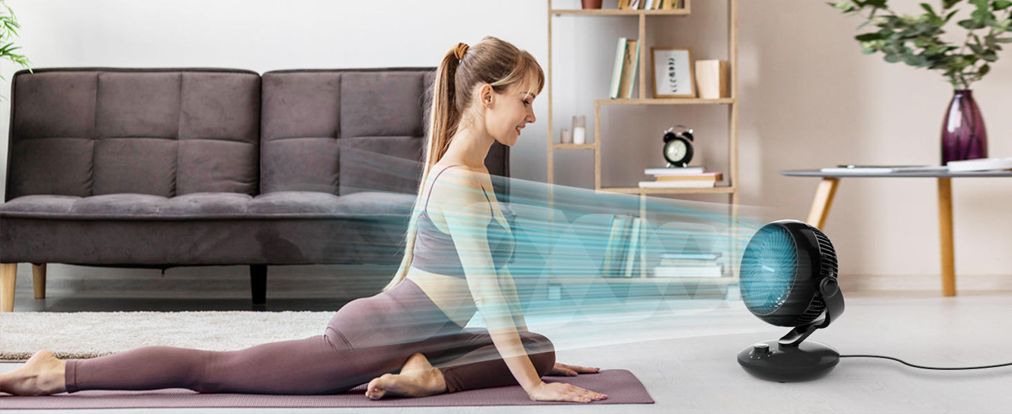 WOWDSGN Вентилятор для дому: тихий настільний циркулятор повітря 24dB, 3 швидкості, 100°/80° осциляція, чорний Xd-1586fc