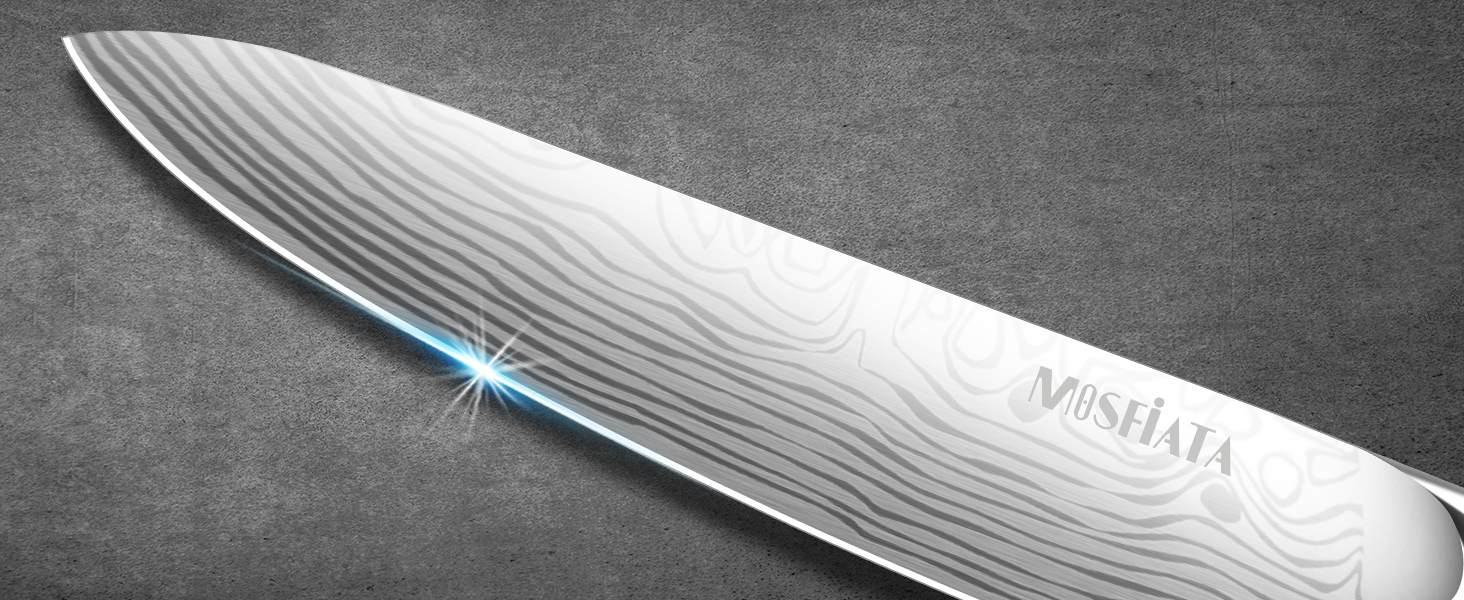 MOSFiATA Кухонний ніж 10 дюймів (25 см) - професійний ніж для м'яса з високоякісної сталі EN1.4116, ідеальний для шеф-кухарів, ніж для кухні, ніж кухаря, з подарунковою упаковкою