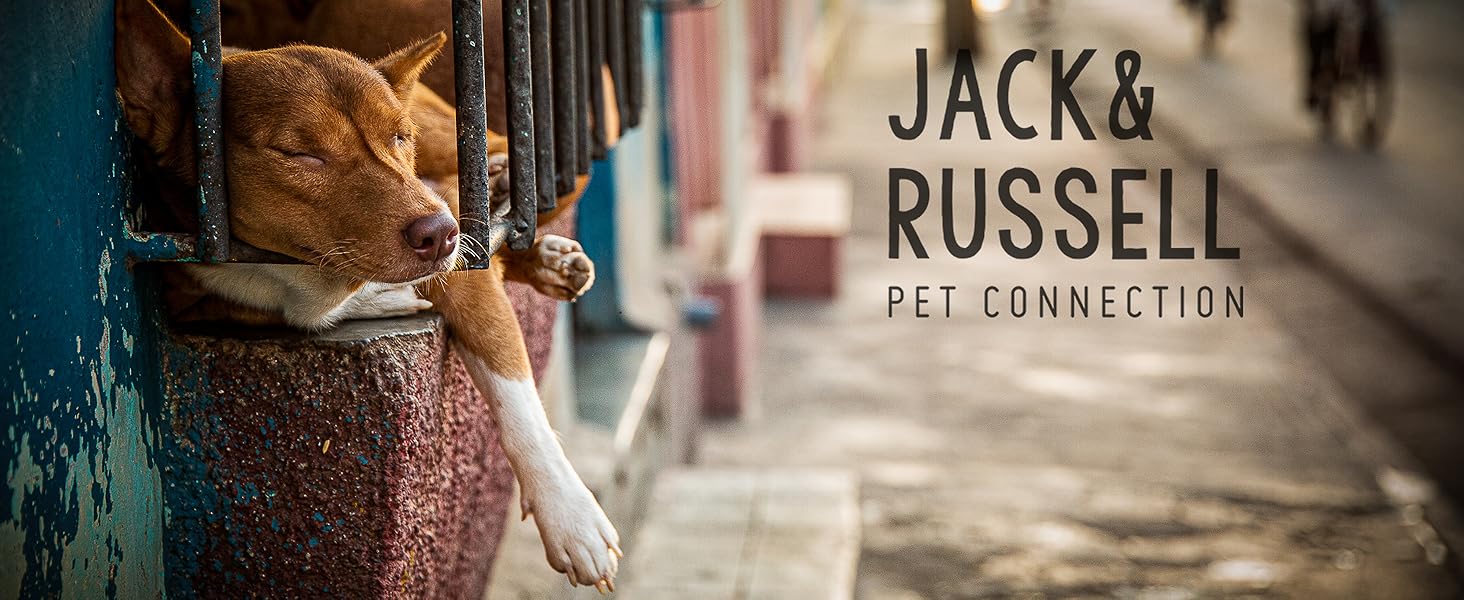 Преміум шкіряний поводок для собак Jack & Russell Dexter, 2.0м - поводок з натуральної шкіри, регульований, чорний