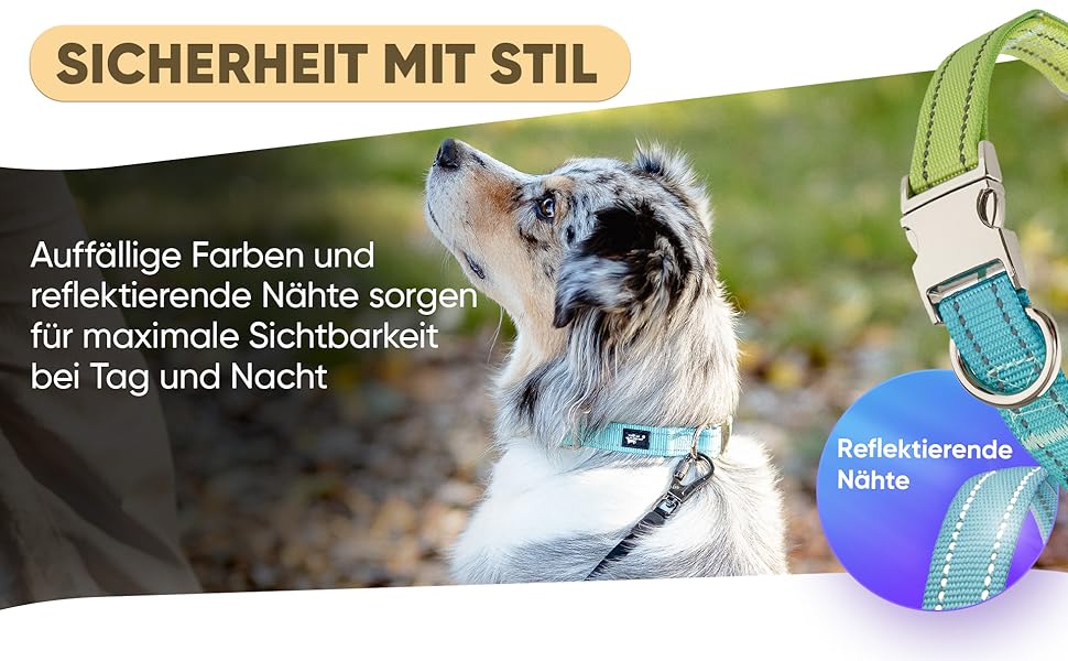 Водонепроникний нашийник для собак Leuchthal – з регульованим нейлоновим ремінцем та світловідбиваючим металевим затвором, 40-65 см, для великих собак, яскравий, з флуоресцентним швом